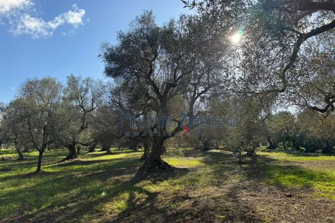 Landejendom i Ostuni, Brindisi, Ostuni - € 53.000 | Ref: 172821 - foto 10